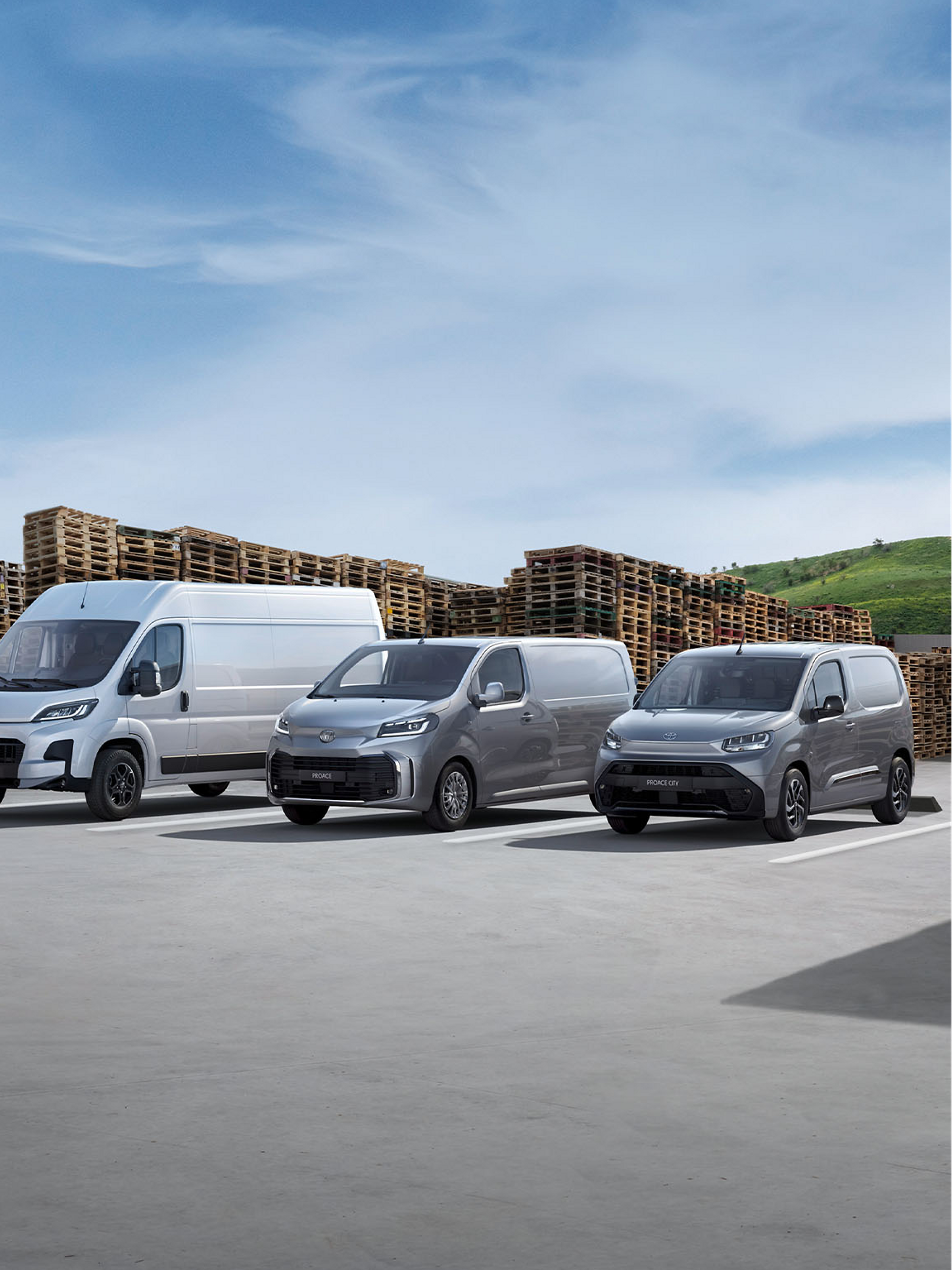 Découvrez nos camionnettes