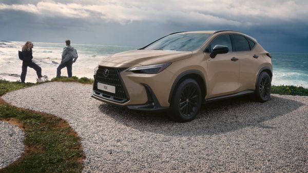 Pakrantėje pastatytas Lexus NX